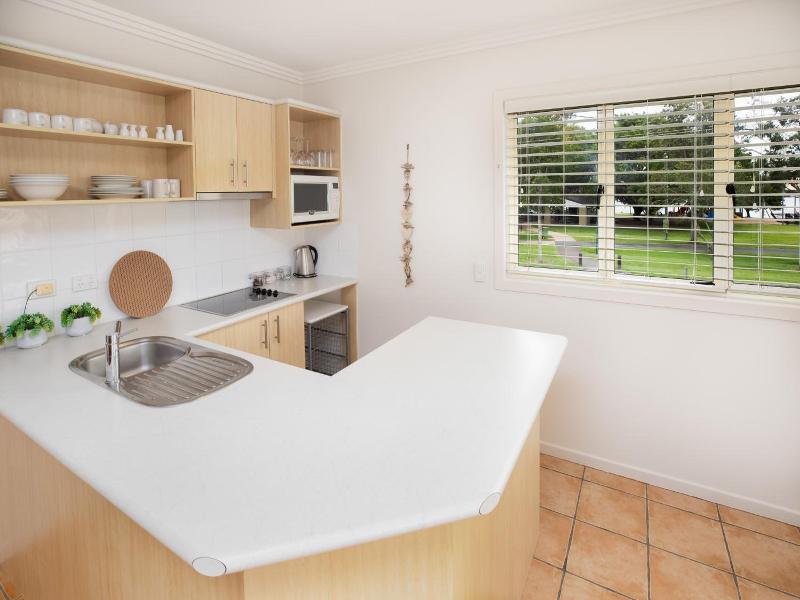 Noosa River Palms image