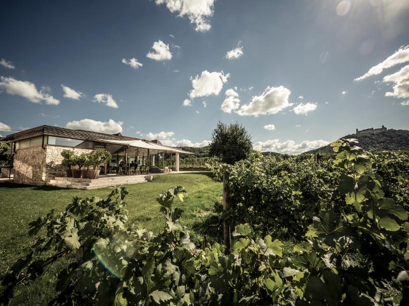 Malat Weingut Und Hotel image
