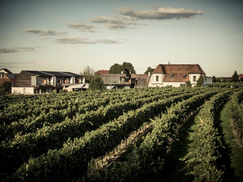 Malat Weingut Und Hotel image