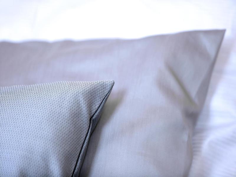 Hotel Zv Me Cek Janovi Cky image