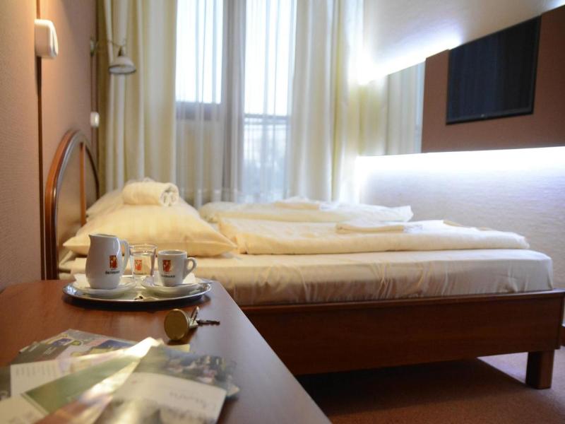 Hotel Minerva image