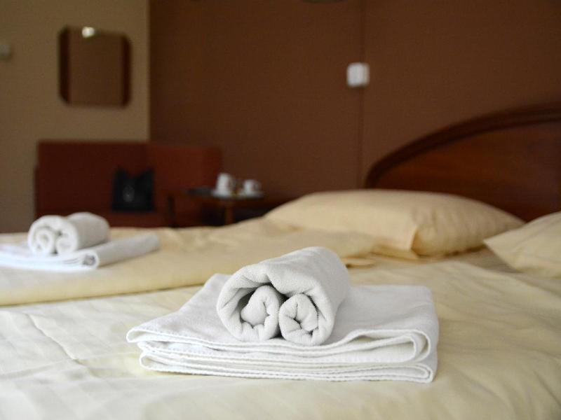 Hotel Minerva image