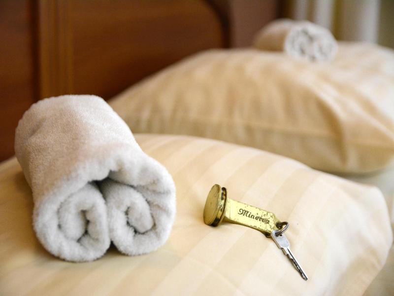Hotel Minerva image