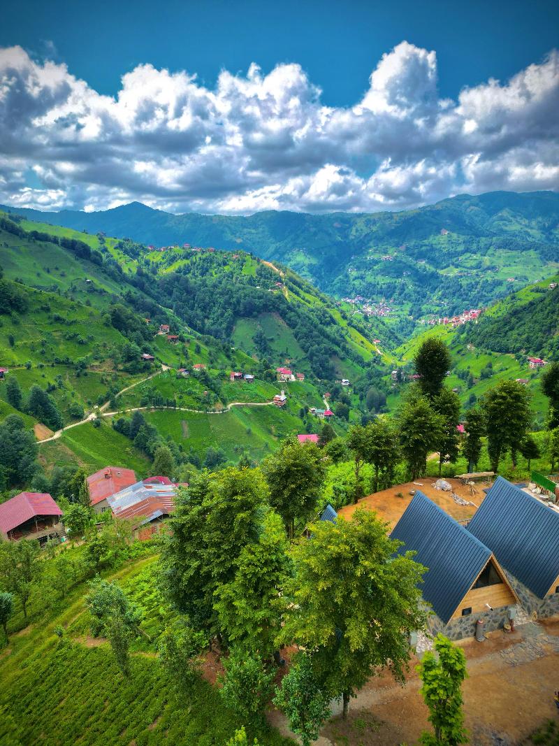 Doğallife Suit Bungalov image