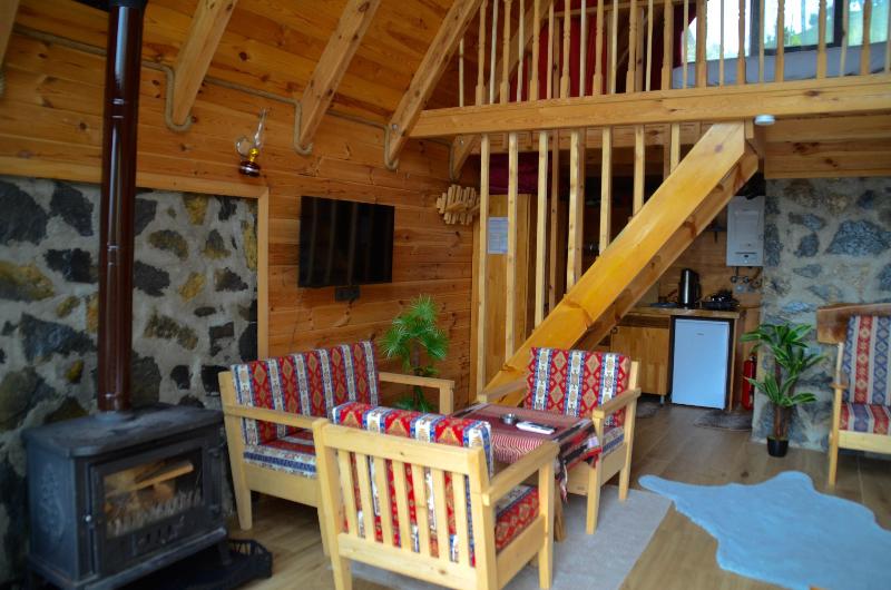 Doğallife Suit Bungalov image