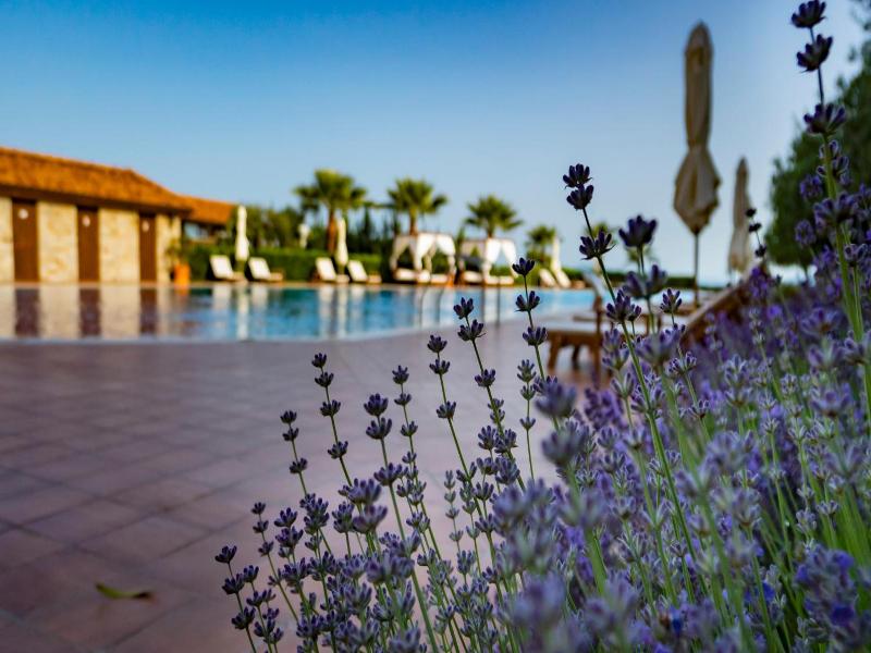 Burgas Beach Resort Apartments image