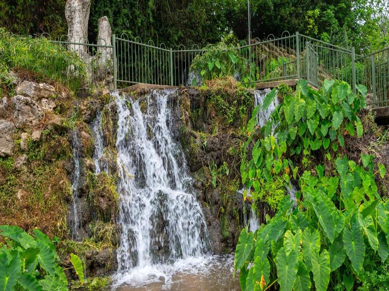 Hagoshrim Hotel Nature image