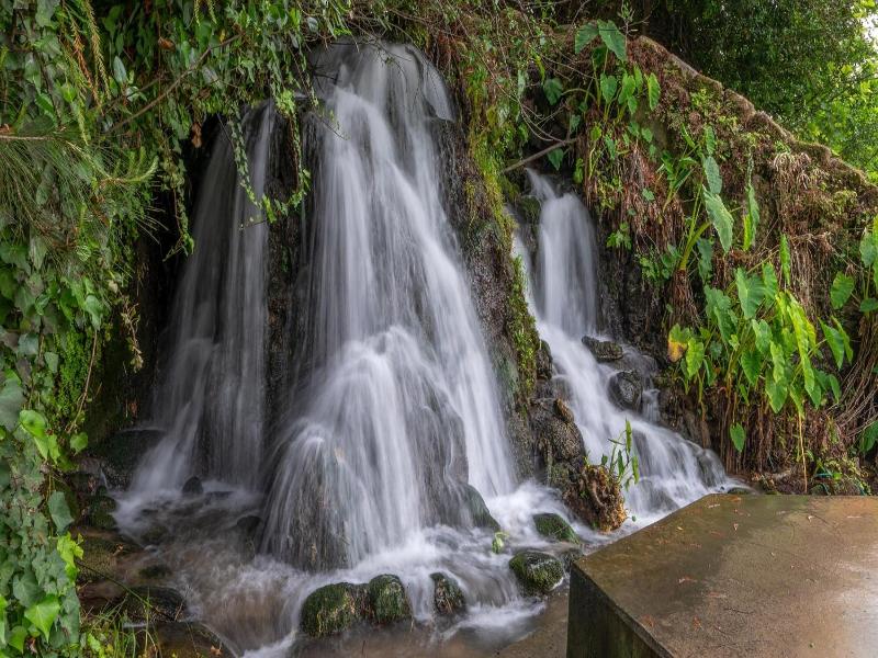 Hagoshrim Hotel Nature image