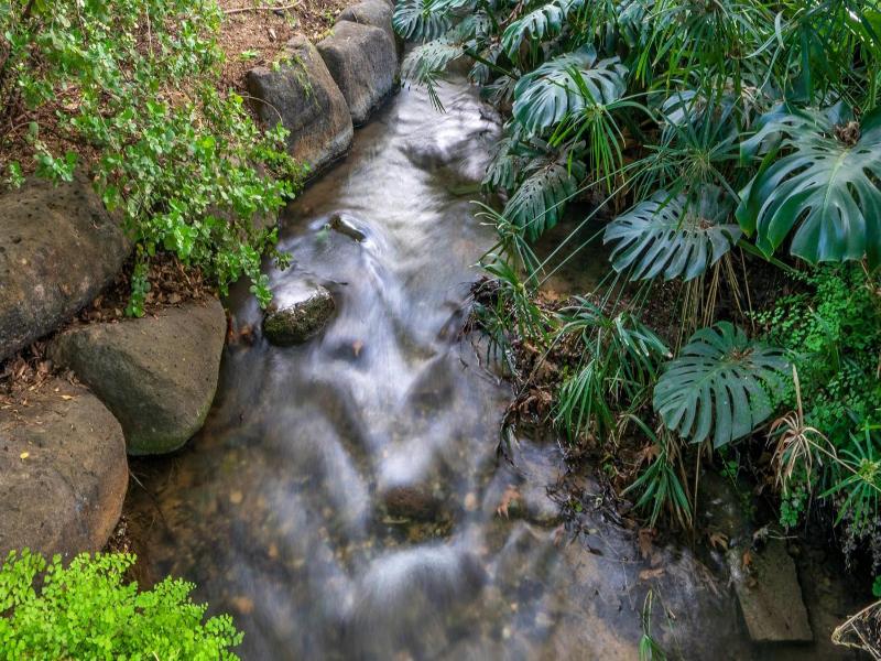 Hagoshrim Hotel Nature image