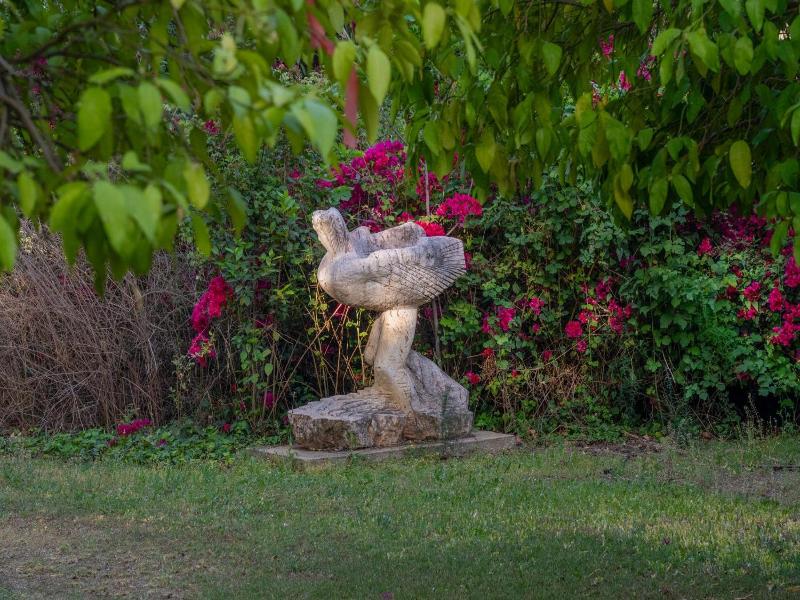Hagoshrim Hotel Nature image
