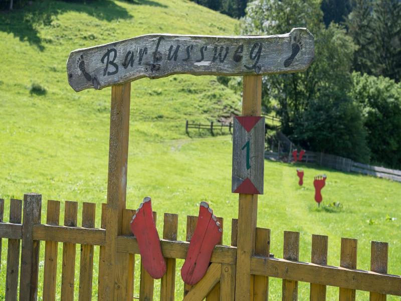 Erlebnisgut Reiterhof Oberhabach image