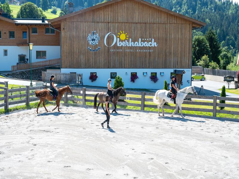 Erlebnisgut Reiterhof Oberhabach image