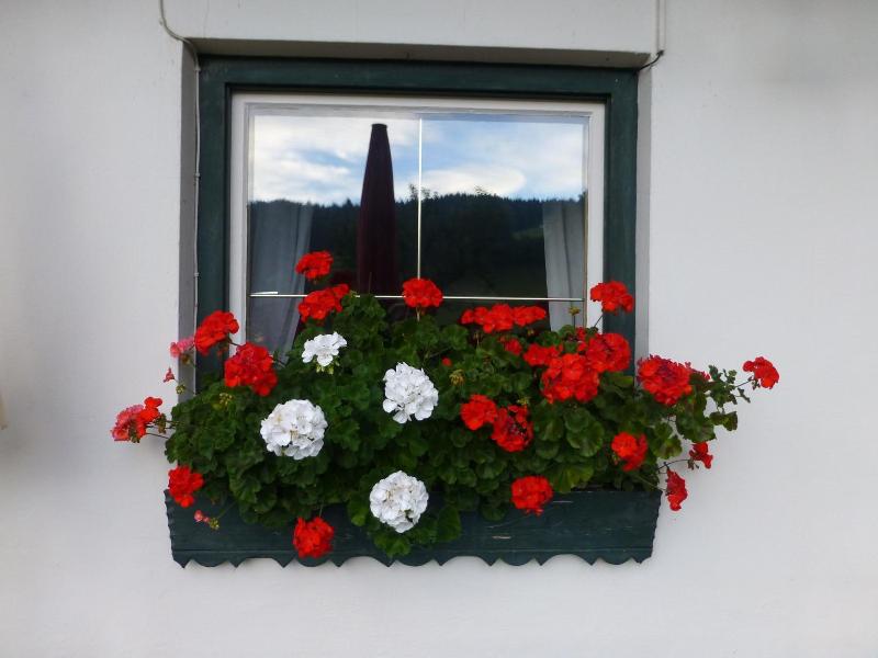 Erlebnisgut Reiterhof Oberhabach image
