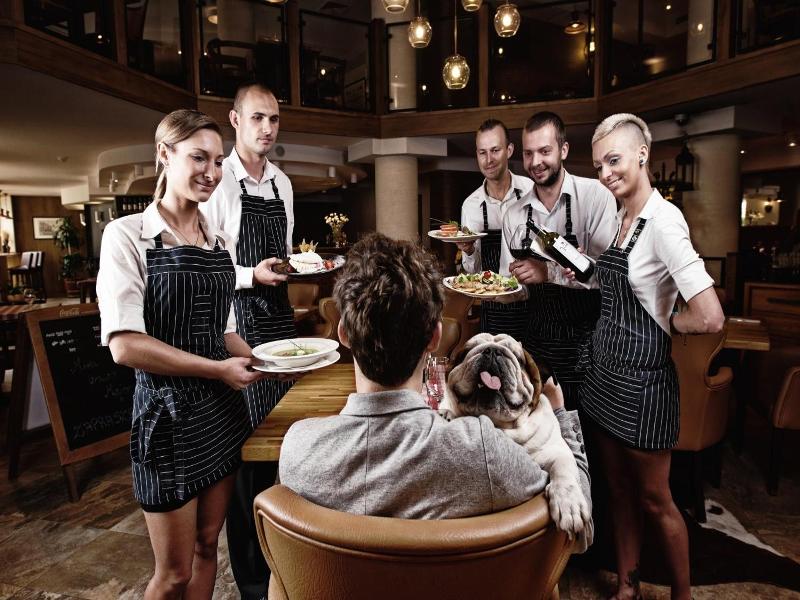 Hotel Silvia Gold Gliwice image