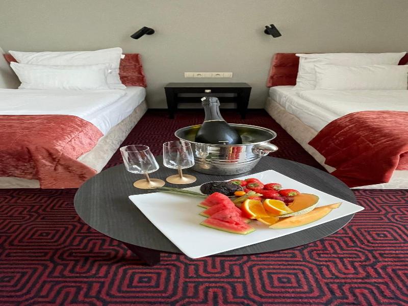 Hotel Silvia Gold Gliwice image