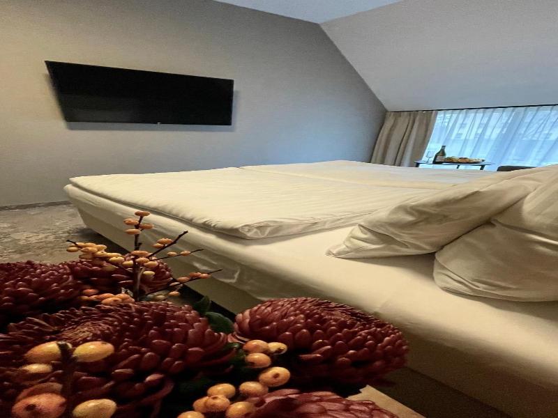 Hotel Silvia Gold Gliwice image