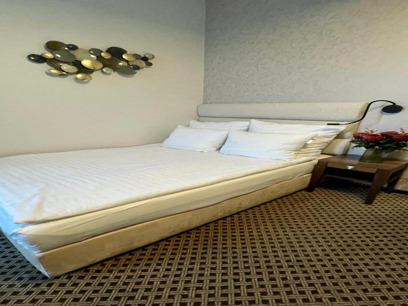 Hotel Silvia Gold Gliwice image