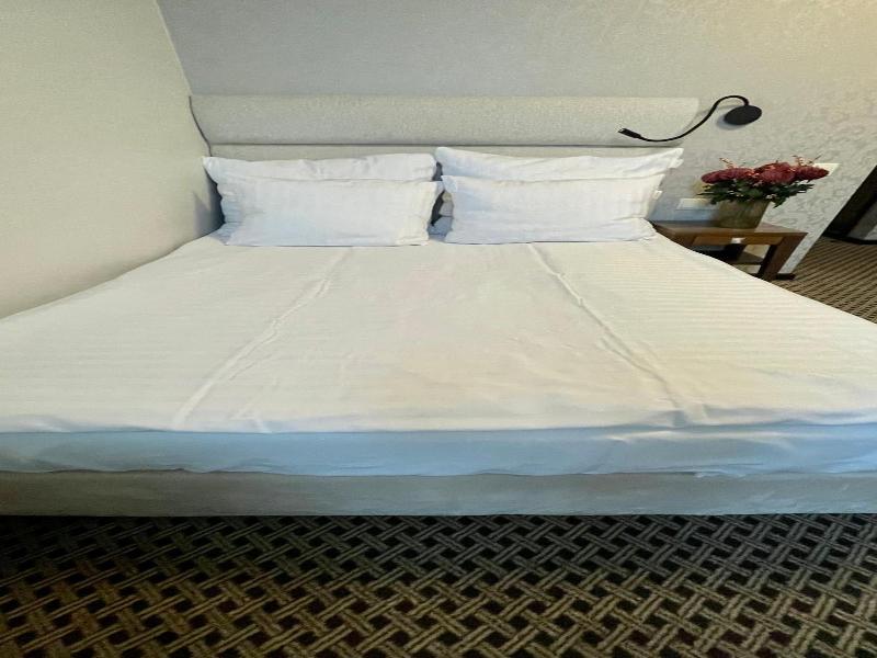 Hotel Silvia Gold Gliwice image