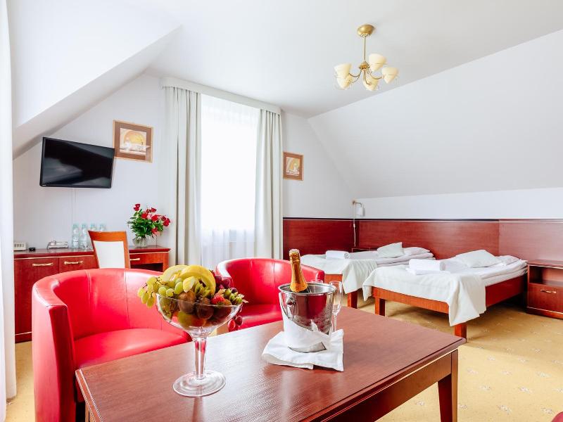 Hotel Skalite Spa Wellness image