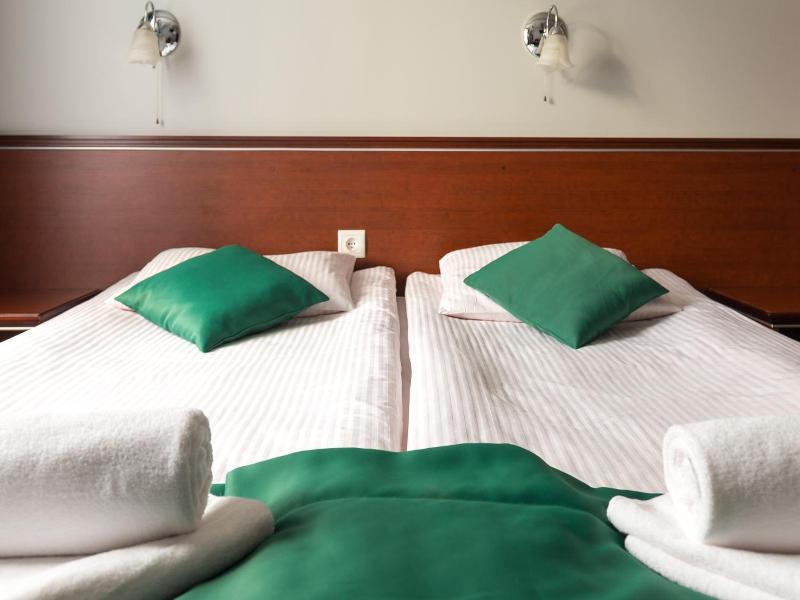 Hotel Skalite Spa Wellness image