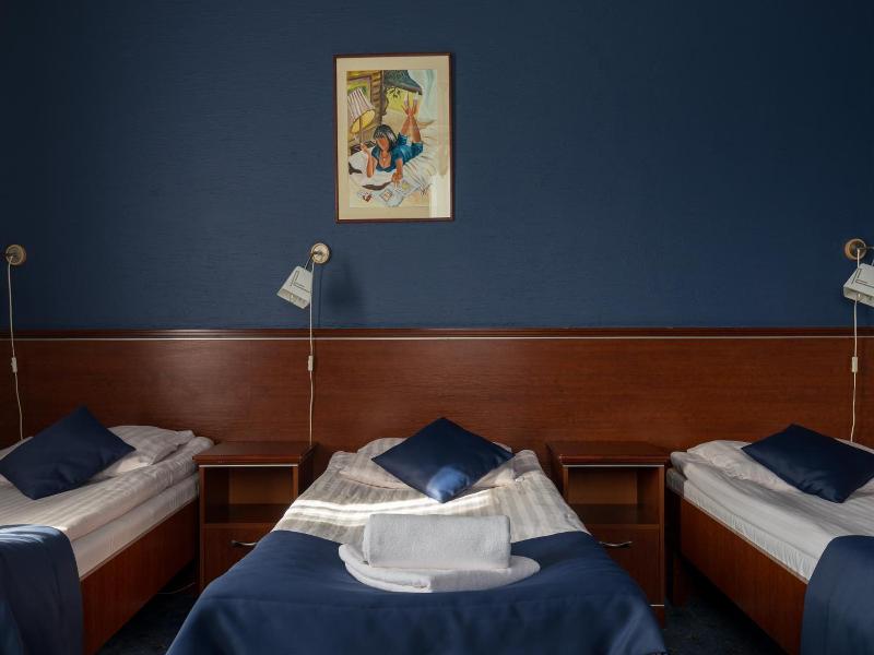 Hotel Skalite Spa Wellness image
