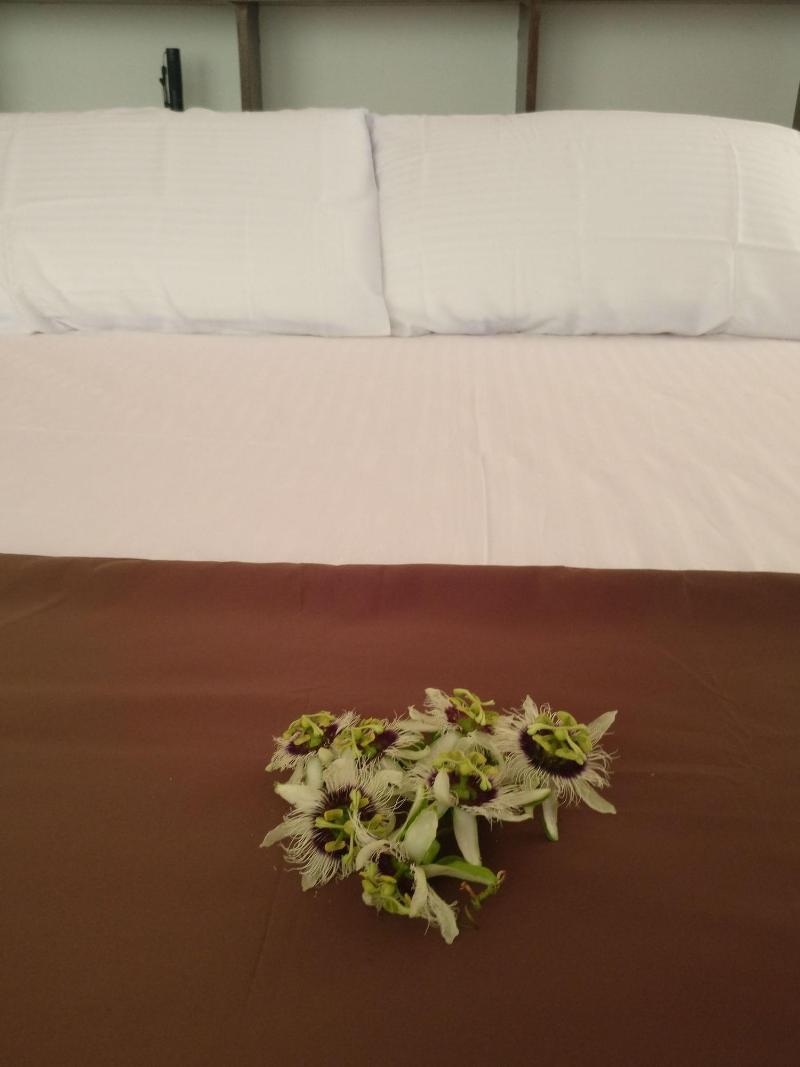 Baivaru Guesthouse Services image