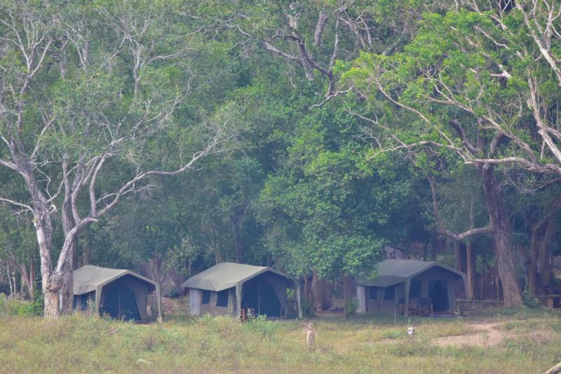 Explorer By Eco Team Gal Oya National Park