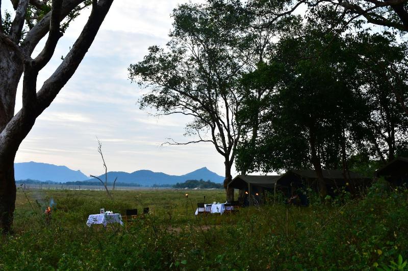 Explorer By Eco Team Gal Oya National Park