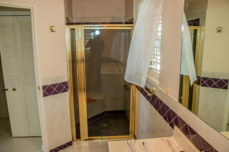 The Whytehouse Villa image