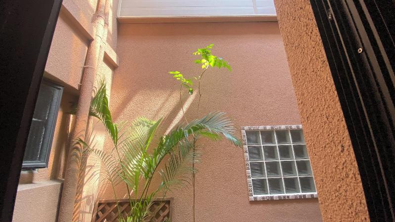 Ha Tel De Flore image