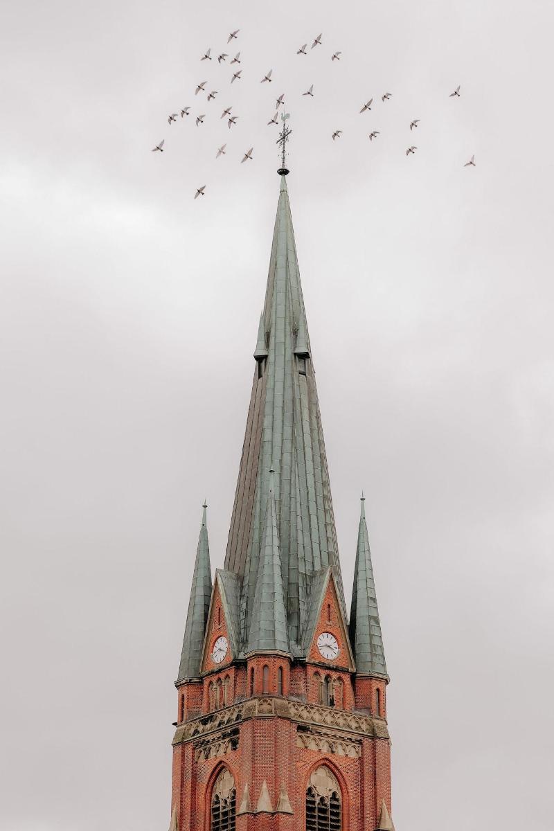 Stadtha Fe Rhede By Hackmann