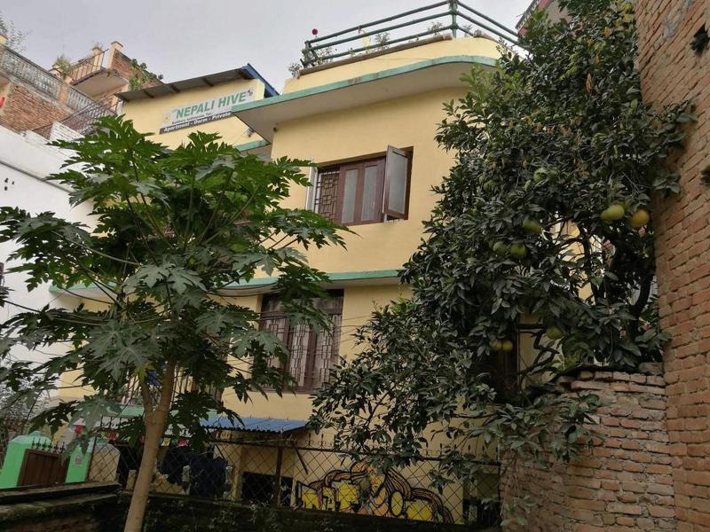 The Nepali Hive image