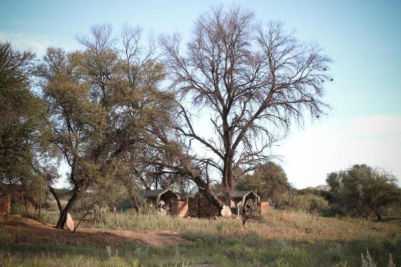 Sweet Thorn Retreat Airport Lodge image