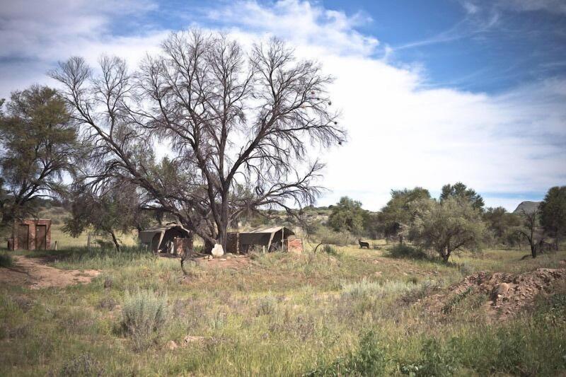 Sweet Thorn Retreat Airport Lodge image