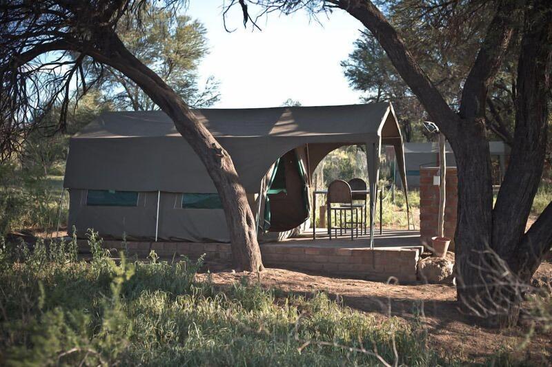 Sweet Thorn Retreat Airport Lodge image