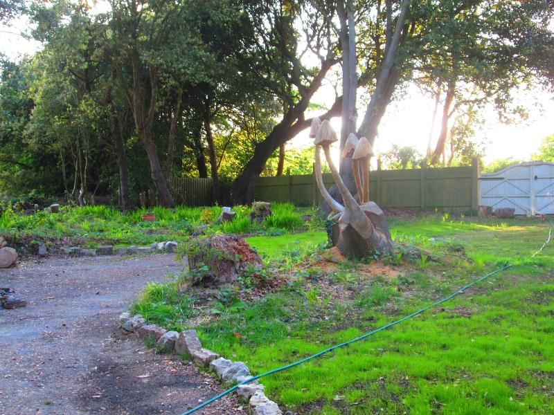 The Old Kitchens image