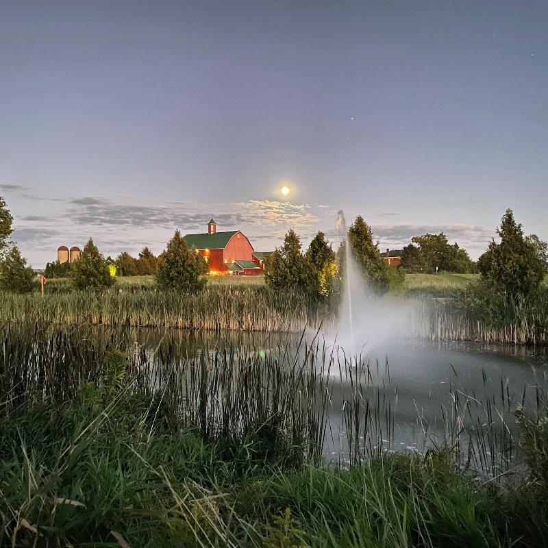 The Eddie Hotel And Farm