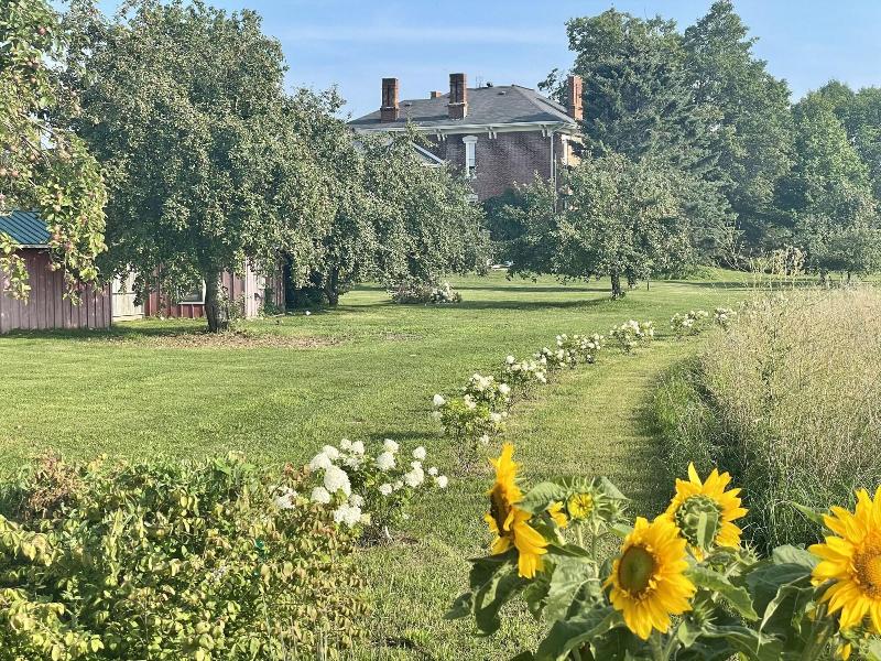 The Eddie Hotel And Farm