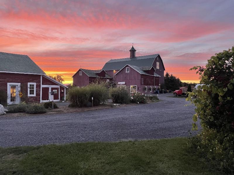 The Eddie Hotel And Farm
