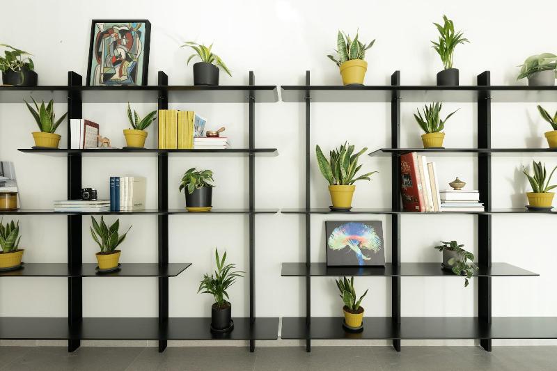 The Y House image