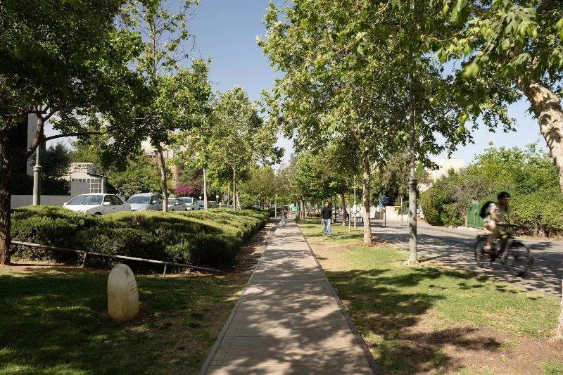 The Y House image