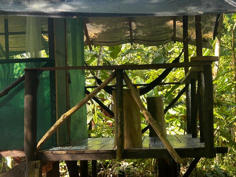 Rio Agujitas Eco Farm Hostel And Tours