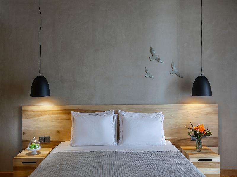 Anemi Hotel & Suites image