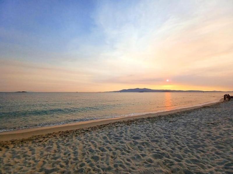 Sea Lilies Suites