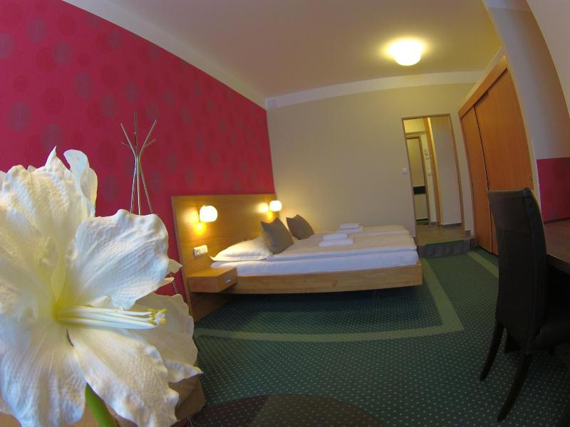 Hotel Vacek Pod V O V image