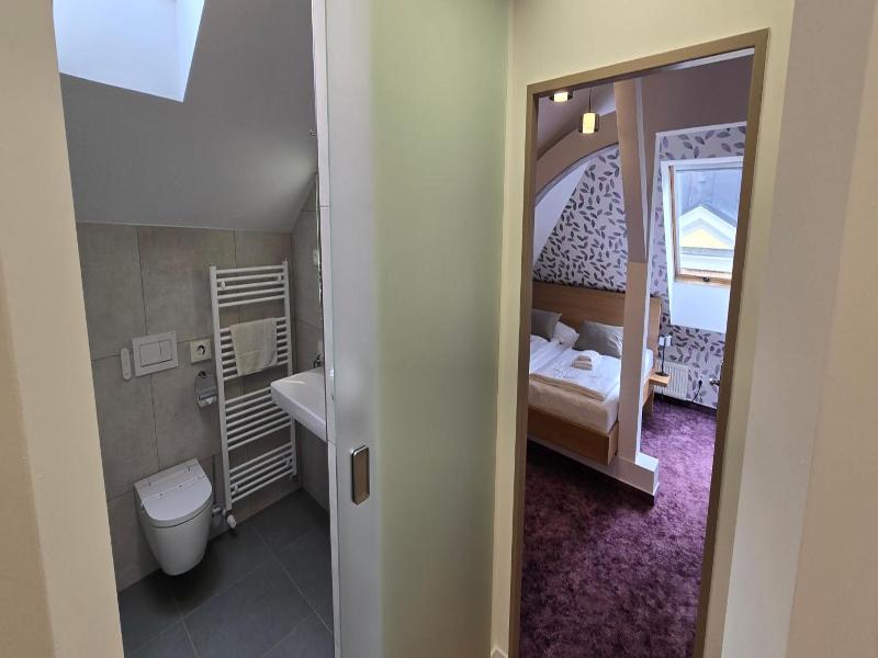 Hotel Vacek Pod V O V image