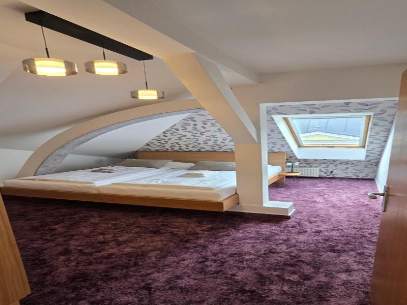 Hotel Vacek Pod V O V image