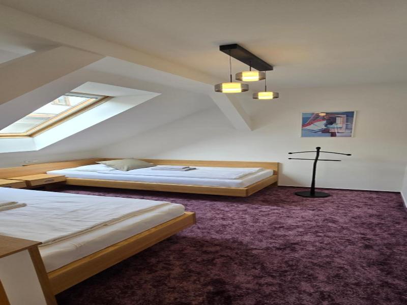 Hotel Vacek Pod V O V image
