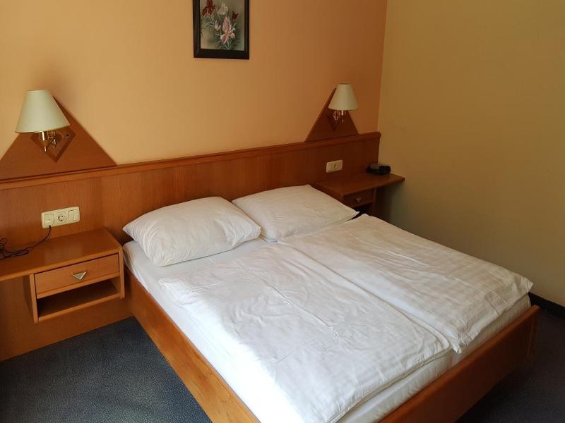 Hotel Geier image