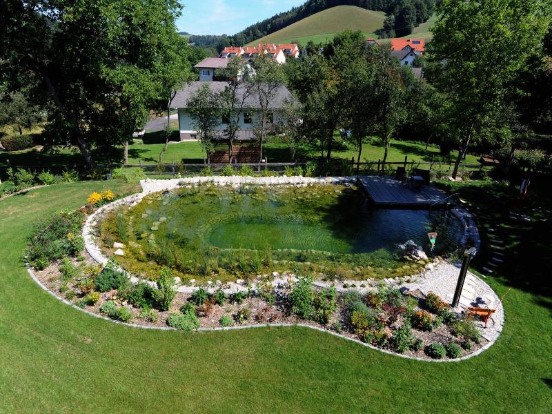 Hotel Geier image